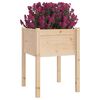 vidaXL Plantekasser 2 stk 50x50x70 cm heltre furu