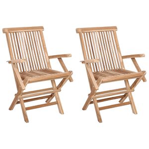vidaXL Foldbar Hage Stol 2 stk. Naturlig Massivt Teaktre