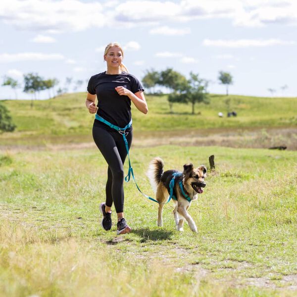 TRIXIE Midjebelte med b&aring;nd S/M bl&aring;