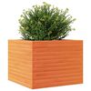 vidaXL Plantekasse voksbrun 60x60x46 cm heltre furu