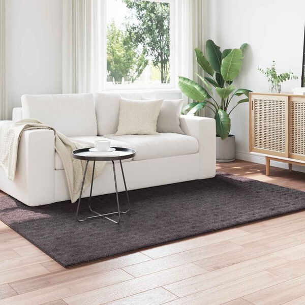 vidaXL Omr&aring;detepper Rektangul&aelig;r Antrasitt 170 x 120 cm