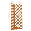 vidaXL Hj&oslash;rneespalier oransje 50x50x145 cm heltre gran