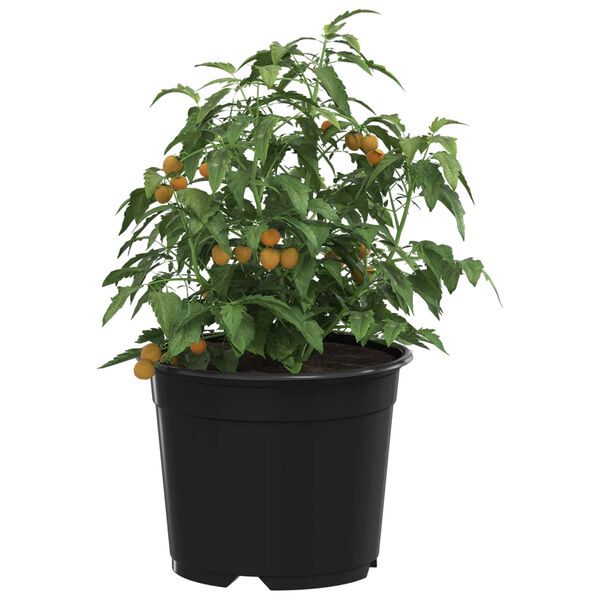 Viser 3 av 11 produktbilde(r)
