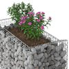 vidaXL Gabion hevet seng s&oslash;lv 50 x 100 x 100 cm Galvanisert St&aring;l