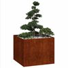 Miniatyrbilde av produktet 3 av 10