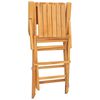 vidaXL Klappstoler 4 stk 55x62x90 cm heltre teak