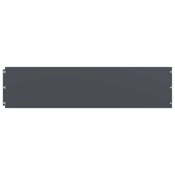 vidaXL Plenkanter 20 stk antrasitt 25x103 cm kaldvalset st&aring;l