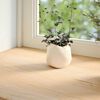 Miniatyrbilde av produktet 3 av 10
