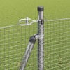 Miniatyrbilde av produktet 5 av 17