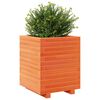 vidaXL Plantekasse voksbrun 40x40x49,5 cm heltre furu