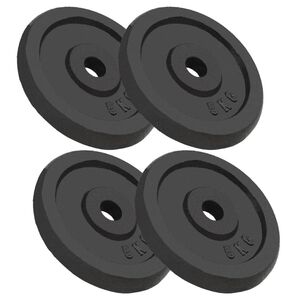 vidaXL Vektskiver 4 stk 4x5 kg st&oslash;pejern