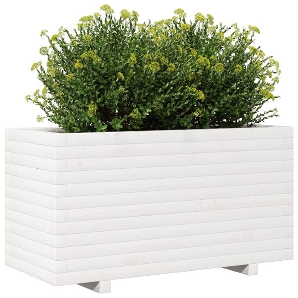 Viser 4 av 10 produktbilde(r)
