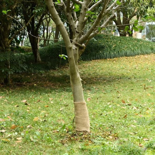 Viser 2 av 7 produktbilde(r)