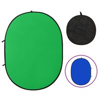 vidaXL 2-i-1 Studiobakgrunn oval grønn og blå 200x150 cm