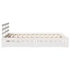 Miniatyrbilde av produktet 5 av 11