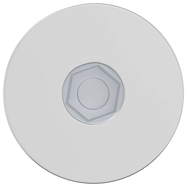 vidaXL Skrue 2 pcs Sinkbelagt 5 x 40 mm Jern