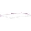 vidaXL Skrivebordsplate med kurve 100x80x2,5 cm heltre grovt mangotre