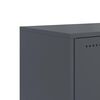 Miniatyrbilde av produktet 10 av 13