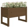 vidaXL Plantekasse honningbrun 78x40x52 cm heltre furu