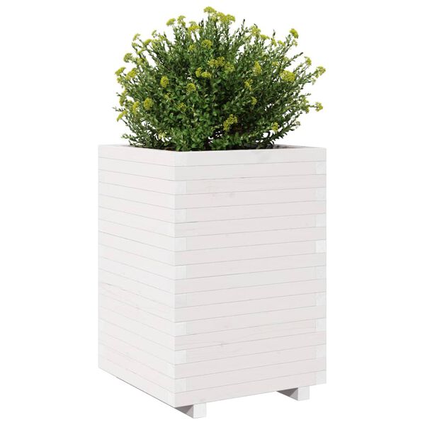 Viser 4 av 10 produktbilde(r)