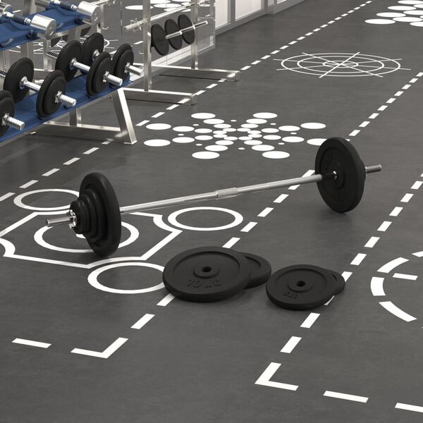 vidaXL Vektstang med skiver 60 kg st&oslash;pejern