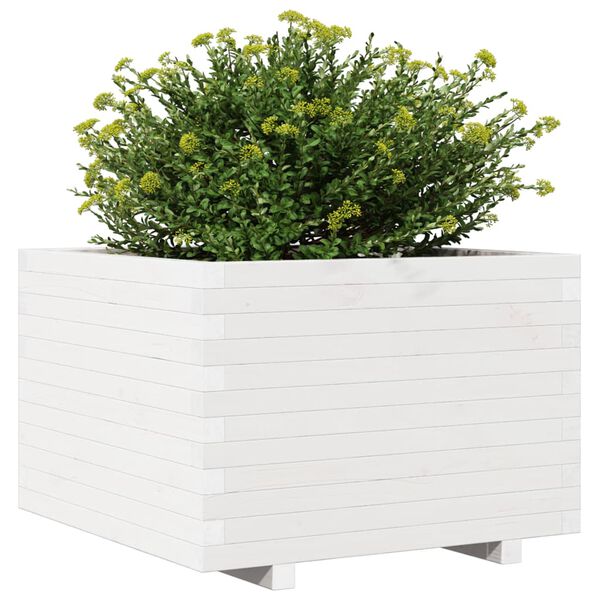 Viser 4 av 10 produktbilde(r)