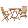 vidaXL Hage Spisegruppe 3 pcs Brun Heltre teak