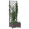 vidaXL Plantekasse med espalier brun 40x40x121,5 cm PP