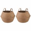 vidaXL Blomsterkrukke med h&aring;ndtak 2 pcs Naturlig &Oslash; 45 x 36 cm