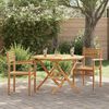 vidaXL Hage stabelstoler 2 pcs Brun 55.5 x 55.5 x 90 cm Heltre teak