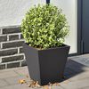 Miniatyrbilde av produktet 2 av 12