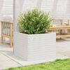 Miniatyrbilde av produktet 3 av 10