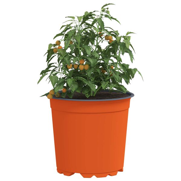Viser 3 av 11 produktbilde(r)