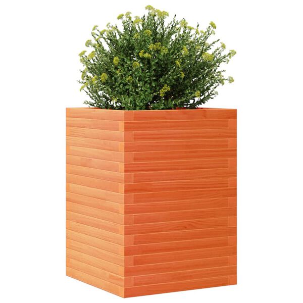 vidaXL Plantekasse voksbrun 50x50x68,5 cm heltre furu