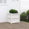 Miniatyrbilde av produktet 2 av 11