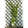 Nature Hageespalier 2 stk tre 50x150 cm grønn