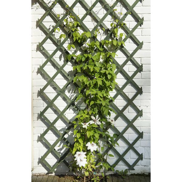 Nature Hageespalier 2 stk tre 50x150 cm grønn