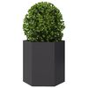 vidaXL Hageplanter 2 stk svart sekskantet 46x40x45 cm st&aring;l