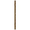 vidaXL Veggmontert hodegavl honningbrun 206x3x63 cm heltre furu