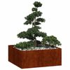 Miniatyrbilde av produktet 3 av 11