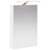 vidaXL Baderomsspeilskap Hvit 40 x 10,5 x 60,5 cm Konstruert tre