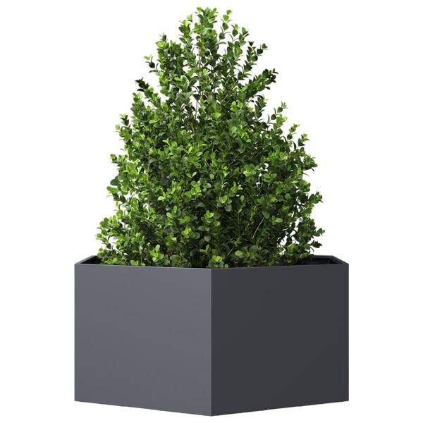 Viser 3 av 10 produktbilde(r)