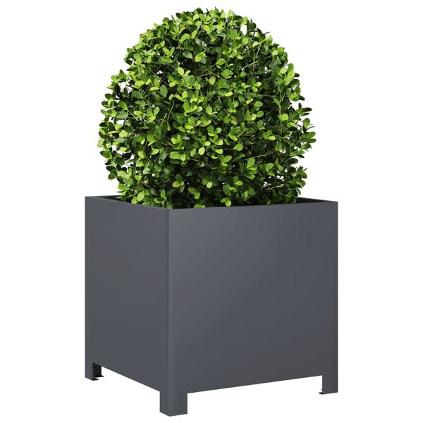 Viser 4 av 12 produktbilde(r)