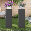 vidaXL Planteholder 2 pcs Svart 24 x 24 x 75 cm Stål