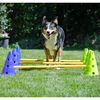 FitPAWS Smidighetssett for hund Canine Gym