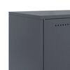 Miniatyrbilde av produktet 10 av 13