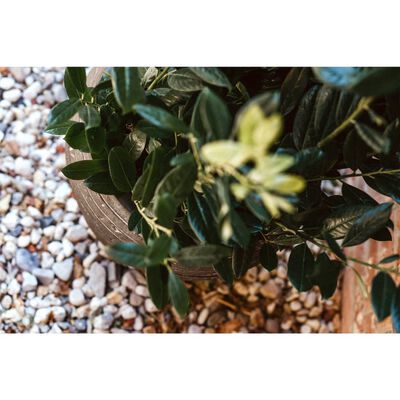 Capi Blomsterpotte Nature Rib Elegant Deluxe 40x30 cm olivengrønn