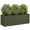 Olive_green