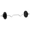 vidaXL Vektstang med plate 60 kg st&oslash;pejern og forkrommet st&aring;l