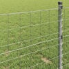 vidaXL Euro gjerde 1,6 x 10 m PVC-belagt jern